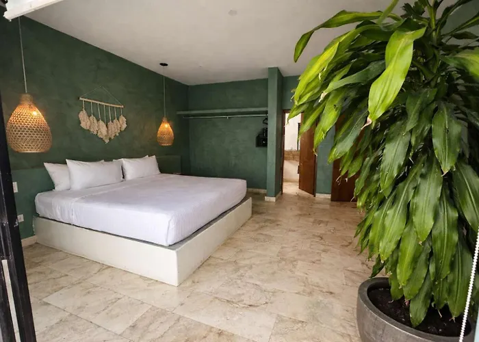 Stunning 4br With Private Pool La Veleta Retreat Tulum